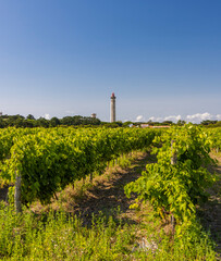 lighthouse of Baleines on Re Island, Charente-Maritime, France