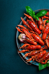 Freshly boiled red crayfish on a metal kitchen tray. Seafood, beer snacks. Free space for text.