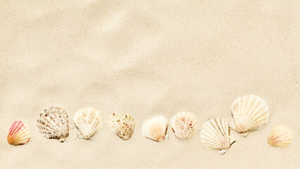 Sandy beach with seashells - 583592283