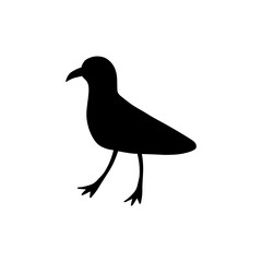 Seagull. Black silhouette. Atlantic seabird. Marine Animal Vector illustration on white background.