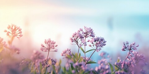 Naklejka na ściany i meble Beautiful spring flowers against a blurry blue sky, magical mood, nature outdoors on a beautiful spring morning. Spring.
