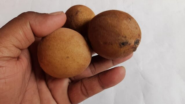 Manilkara zapota fruits. Its other names apodilla fruits, sapote,&nbsp;chicozapote,&nbsp;chico fruits,&nbsp;chicle fruit,&nbsp;naseberry, and nispero. Popular and tasty fruits. 
