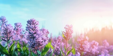 Obraz premium Beautiful spring flowers against a blurry blue sky, magical mood, nature outdoors on a beautiful spring morning. Spring.