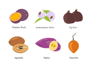 Set of fresh fruits in flat style illustration isolated. Vector cartoon fruits collection. Passion fruit, Fig fruit, Austromyrtus Dulcis, Sapodilla chiku, Pepino or Solanum muricatum fruit, Tamarillo.