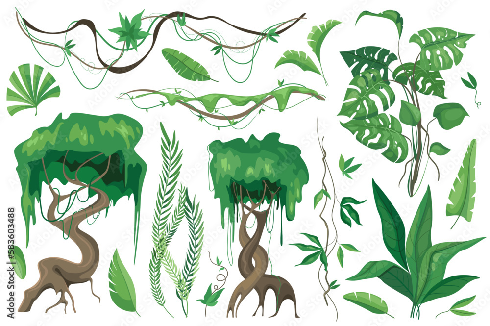 Poster tropical plants and lianes set graphic elements in flat design. bundle of different type exotic tree