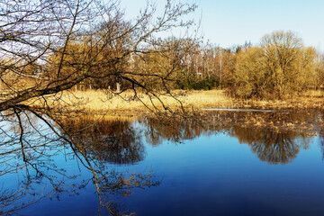 River bank on a sunny day in early spring