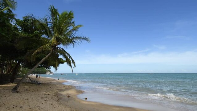 View of Praia Do Espelho beach, a famous tourist destination of Caraiva, the coast of the Brazilian northeast. Porto Seguro - Bahia, Brazil.
