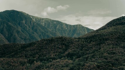 Scenic view of a green dense forest with mountains in the background on a cloudy day in Slovenia