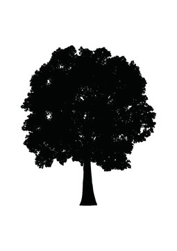 &Aacute;rvore silhueta vetor preto natureza ambiente folhas plantas eco