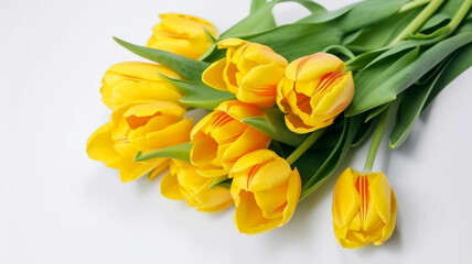 bouquet of yellow tulips on white