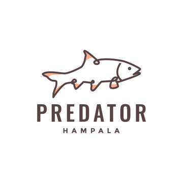 river predator fish hampala line art colorful logo design vector