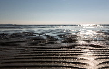 the sea in a sunny day
