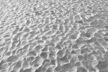 Mesquite flats in the death valley desert in sunset light