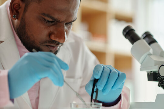 Close-up of young researcher in protective gloves carrying out scientific experiment while cutting tiny parts of plant in petri dish in laboratory