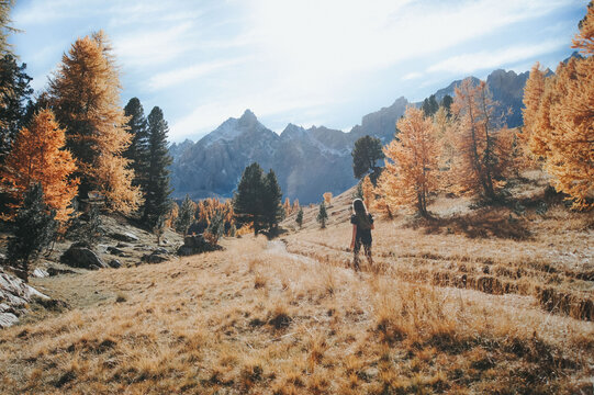 mountain during fall with orange tree and peaks