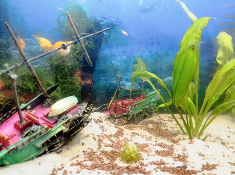 decoraci&oacute;n de acuario para peces con rocas y plantas