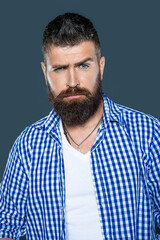 face of bearded man wear checkered shirt on grey background