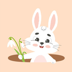 Cute white bunny with snowdrop in hole. Cartoon vector illustration.