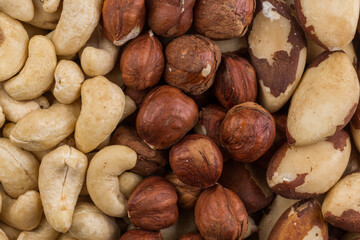 Variety of Mixed Nuts