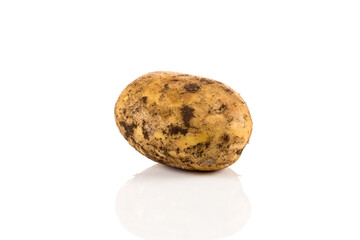 Dirty potato isolated on white background.