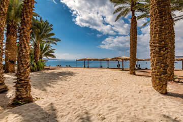 Sandy beach resort and park area with palm trees near a shore of the Red Sea, Middle East