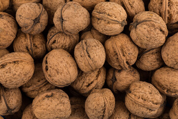 Walnut nut closeup