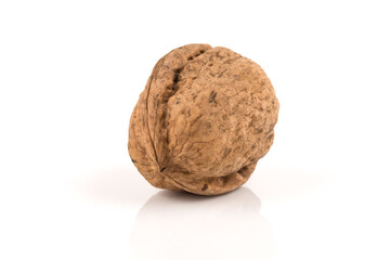 Walnut nut on white