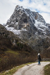 Fototapeta premium A lone figure treads through a winter wonderland, set against a majestic backdrop of a snow-capped mountain