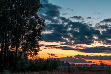 Fototapeta na wymiar Green field and beautiful summer sunset.