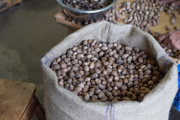 Nutmeg beans in burlap sack. Whole beans packed in bulk bags. Raw beans. Bulk beans