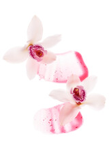 Fototapeta na wymiar Two orchids and pink gel smears