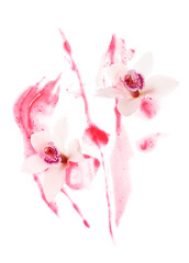 Fototapeta na wymiar Two orchids on pink gel splatter