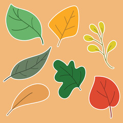 leaf vector, hand drawn, colorful leaves