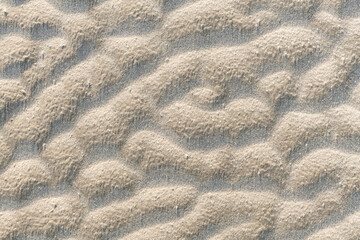 Sand structure on mudflat beach - 9842
