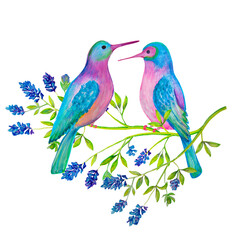 Two blue birds on a branch of a flowering plant. Watercolor drawing.