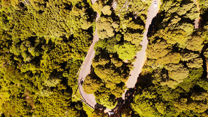 Downward aerial view of a beautful windy road across a forest