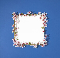 Spring composition of almond flowers and twigs and note paper card on blue background. Natural minimal  flat lay.