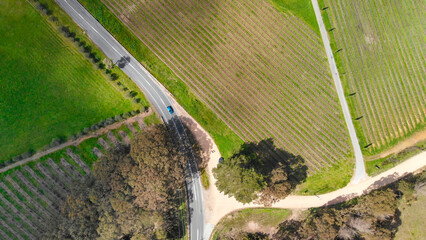 Aerial view of Vineyards in South Australia