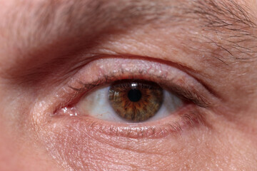 Obraz premium male eye with unpainted eyelashes. close-up.
