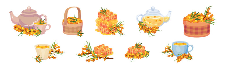 Sea Buckthorn Berry with Honey and Brewed Aromatic Tea Vector Set