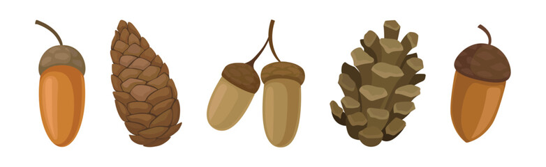 Fir or Pine Cones and Acorns as Seed Containing Plant Part Vector Set