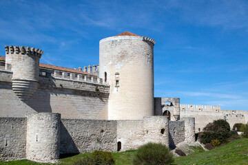 Fototapeta na wymiar castle of the castle