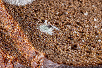Dry musty bread. Spoiled, non-consumable food. Slices of black bread, covered with mold. Mold on bread