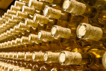Bottles of white wine laid out for maturation in a wine cellar
