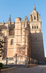 Obraz premium Photo detail of part of the Salamanca catedral in Spain
