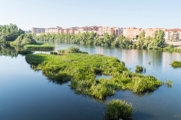 Fototapeta na wymiar Tormes river and the city of Salamanca behind (Spain)