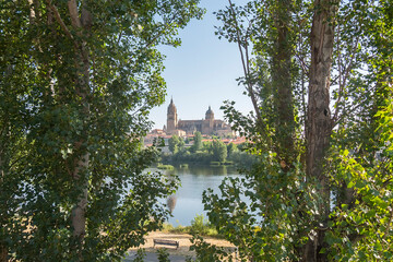 Tormes river and Cathedral of the city of Salamanca in Spain