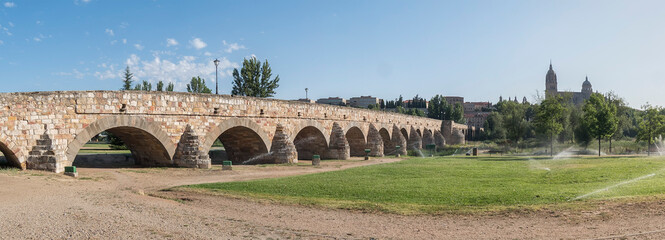 Roman bridge over the Tormes river and in the background the cathedral of Salamanca (Spain)