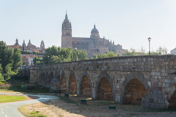 Roman bridge over the Tormes river and in the background the cathedral of Salamanca (Spain)