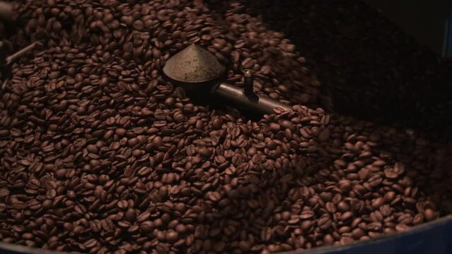 Coffee beans rotating in drum roaster